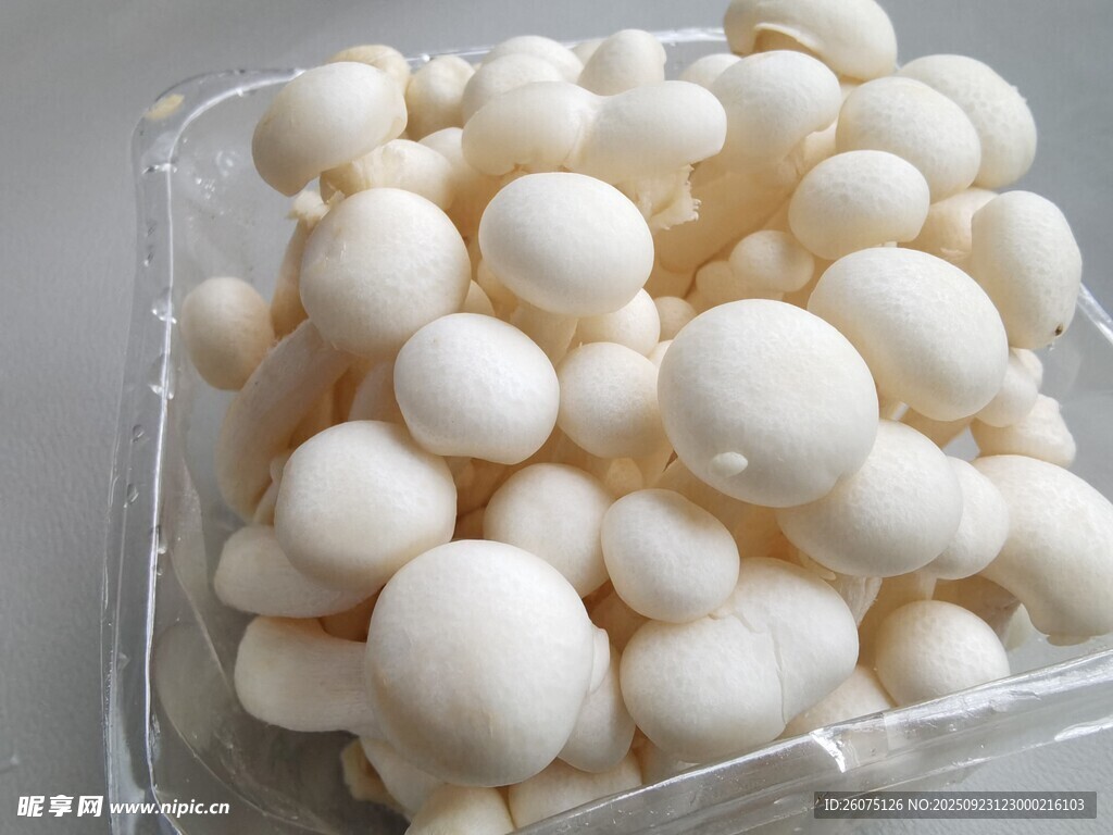 盒装白玉菇