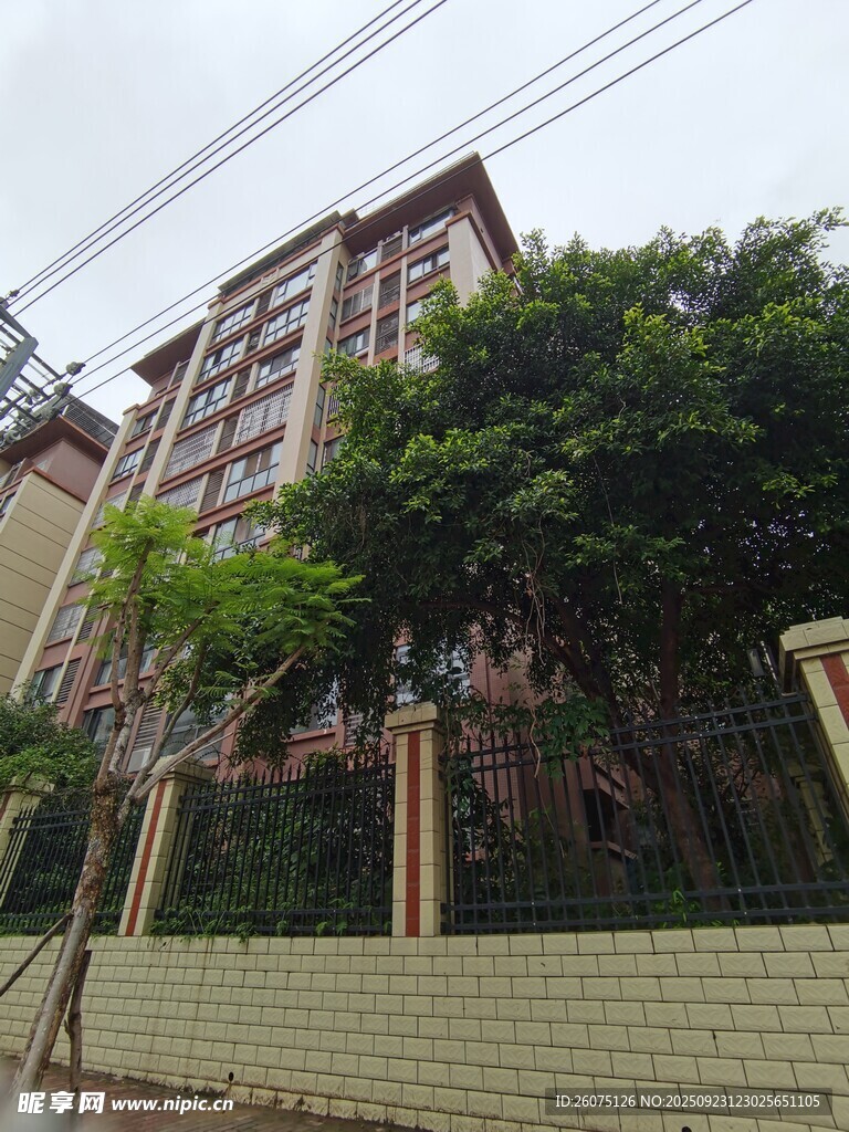 小区旁绿树环绕的居民楼
