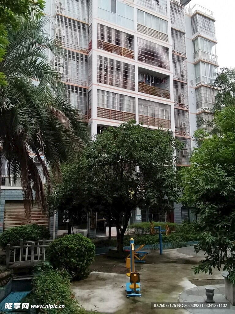 小区内的绿植与居民楼