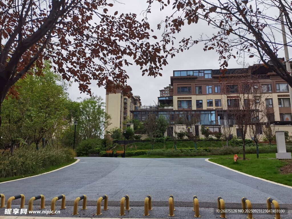 豪华别墅前的开阔景观