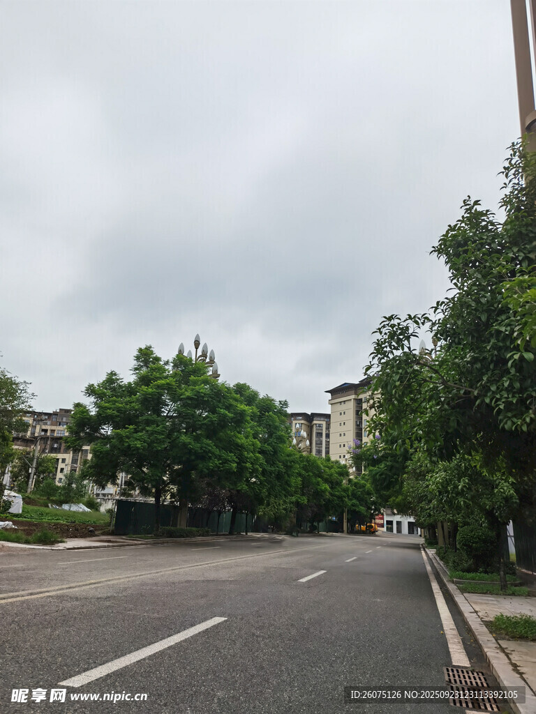 空旷街道旁绿树成荫