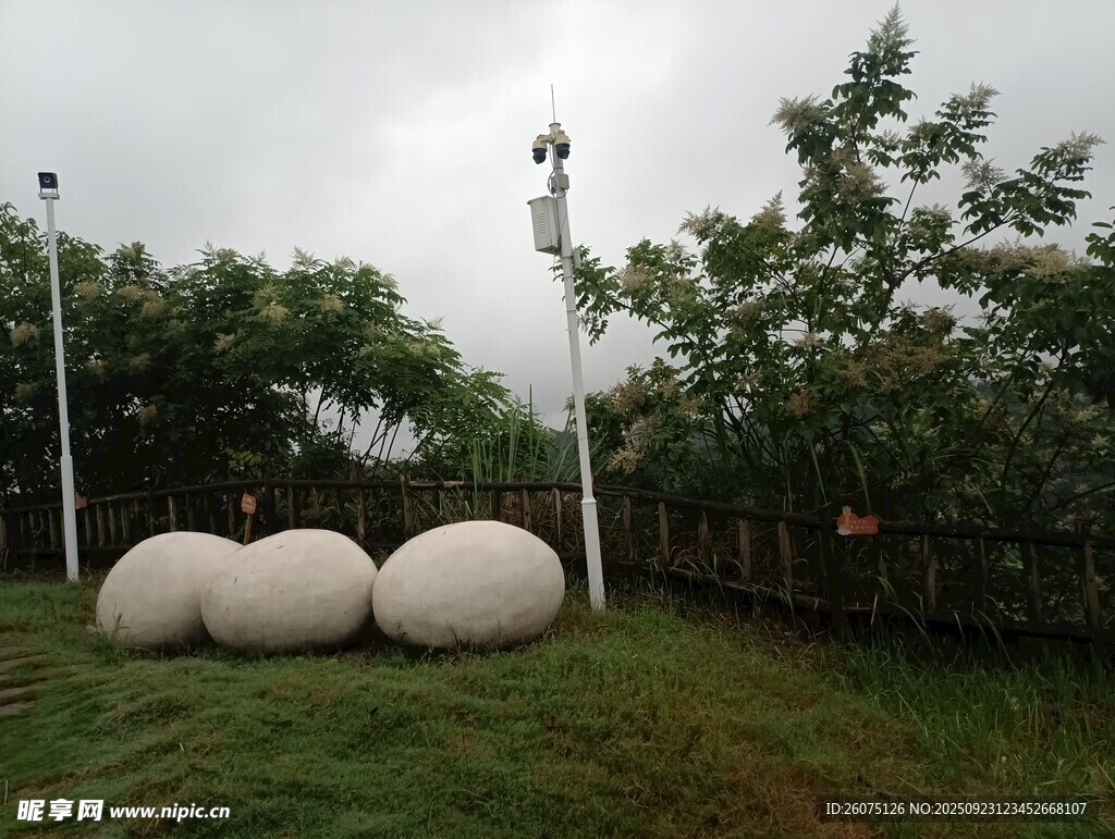 草地上的球形装置与灯柱