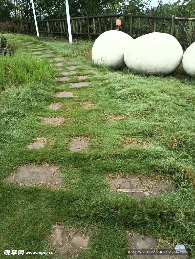 草坪中的石板小径景观