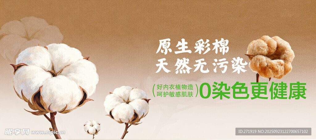 天然彩棉海报