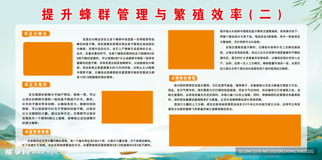 提升蜂群管理与繁殖效率
