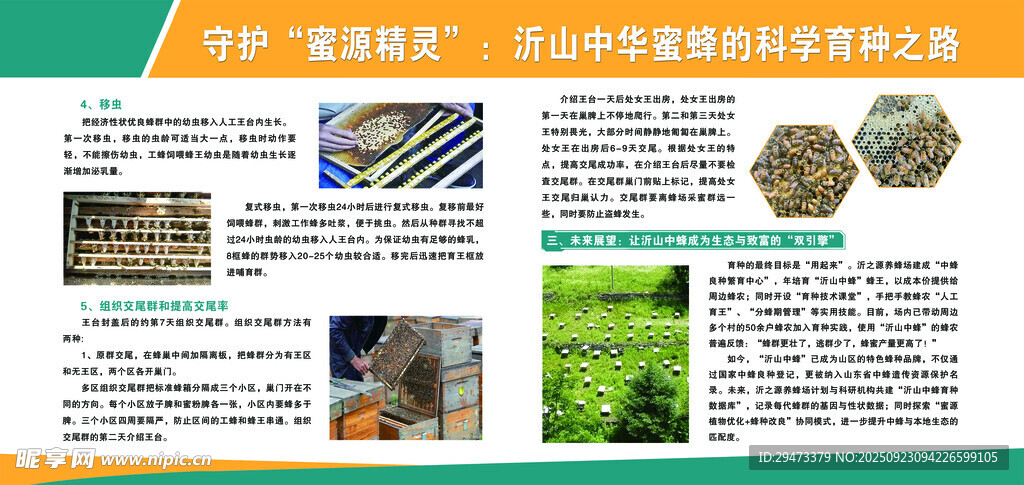 蜜蜂 食物信息宣传页