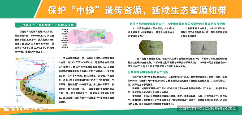 科技与生态融合宣传页