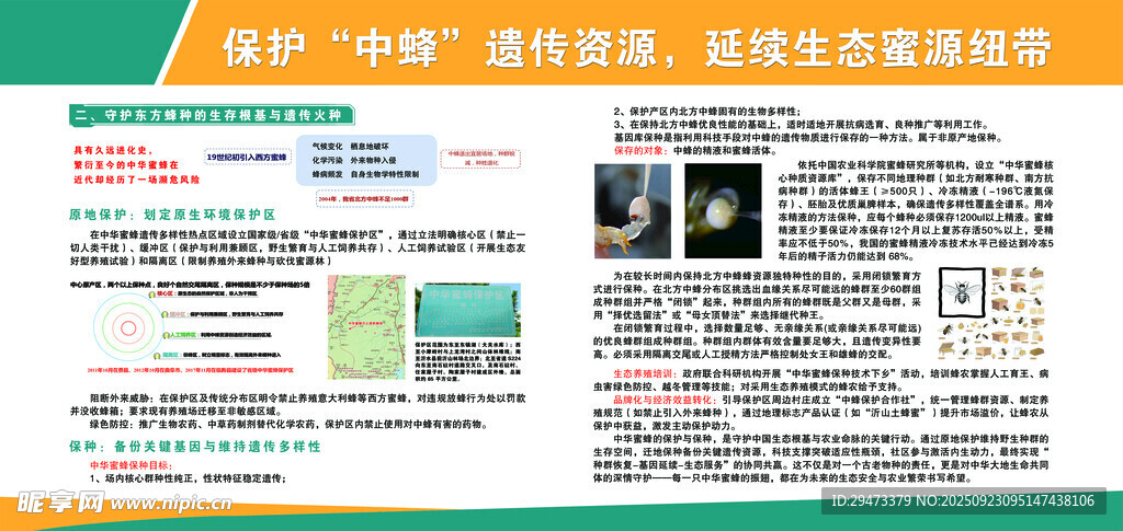 科技节活动宣传页展示