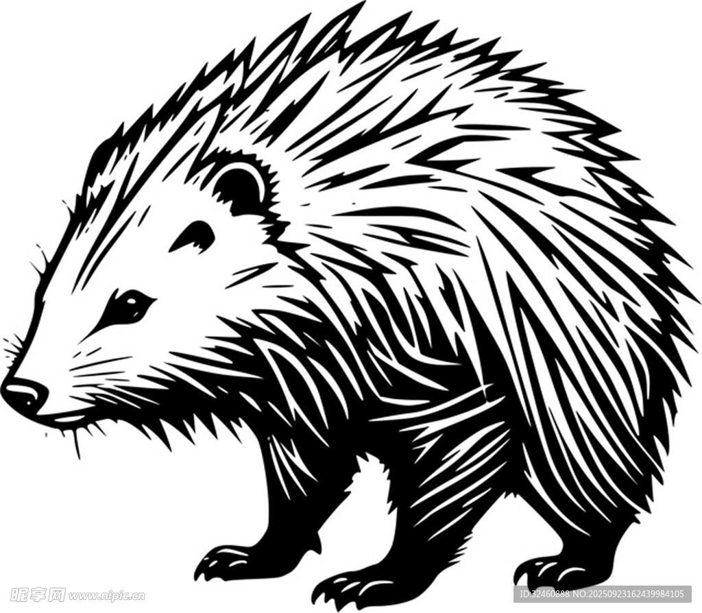 刺猬插画