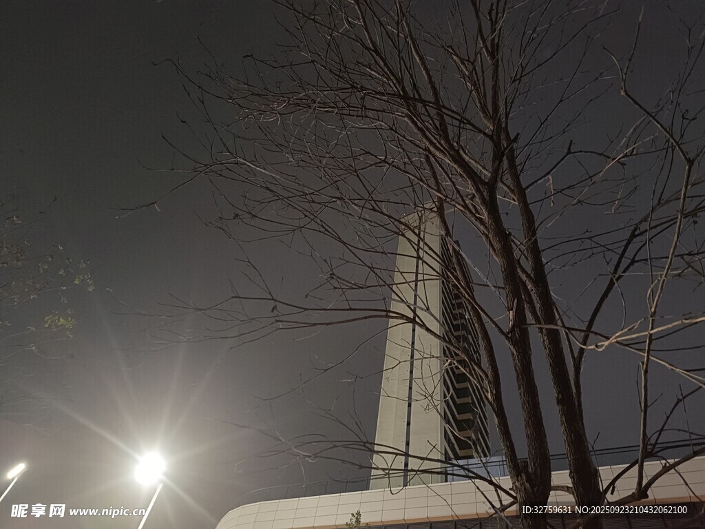 夜晚城市高楼与树木景观