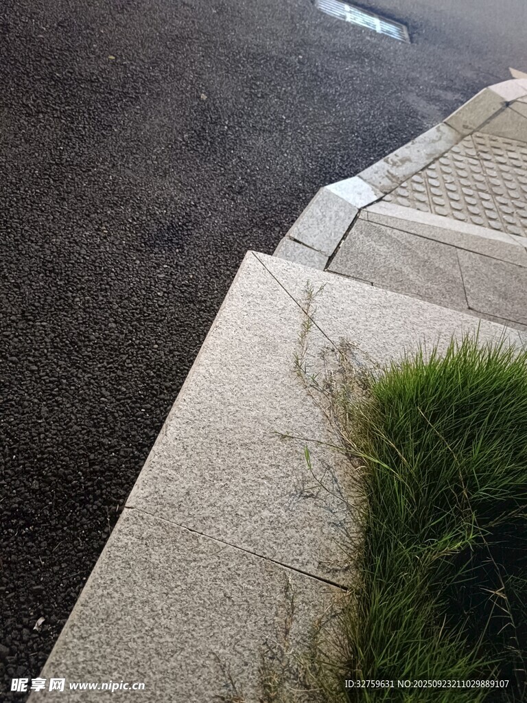 路边水泥台阶旁的小草