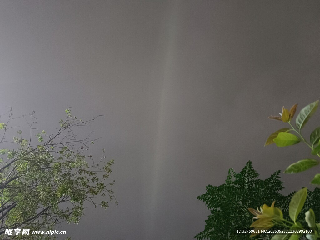 天空现朦胧彩虹与绿植