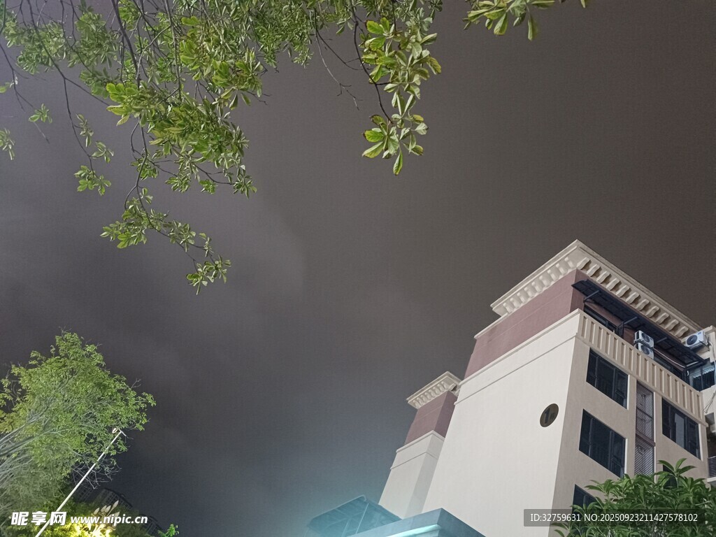 夜幕下的建筑与绿树