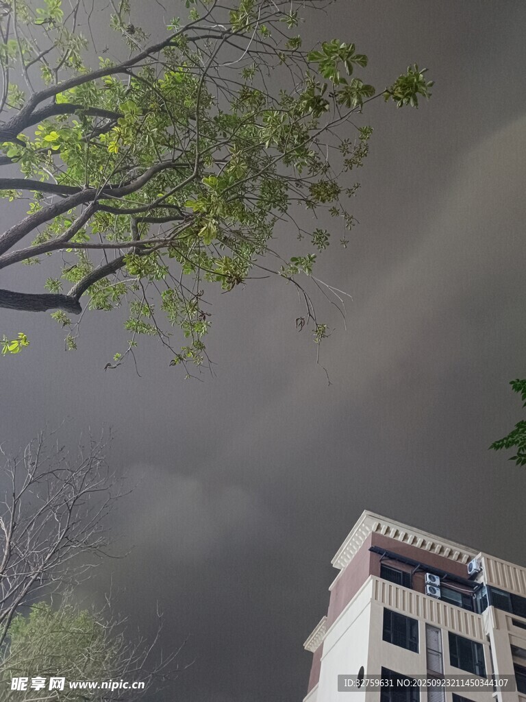 楼前绿树与阴沉天空