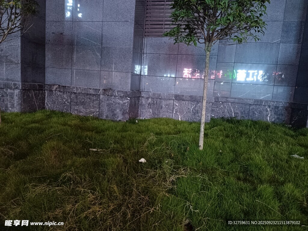 夜晚墙边的孤树与草地