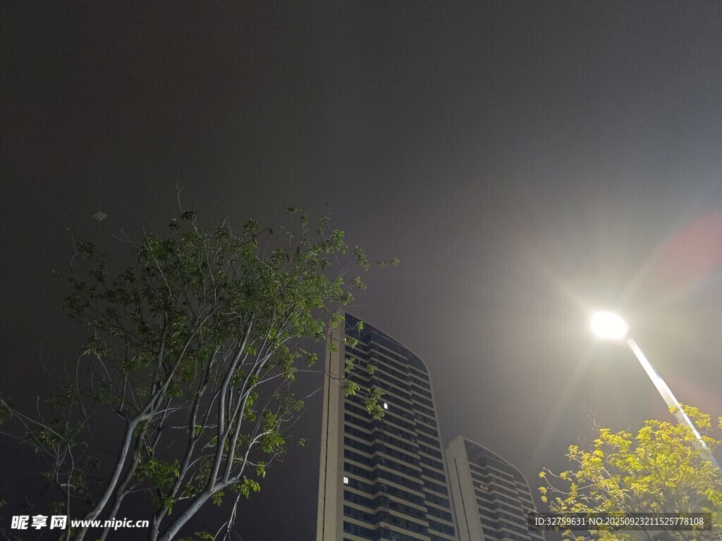 夜晚城市高楼与树木景象