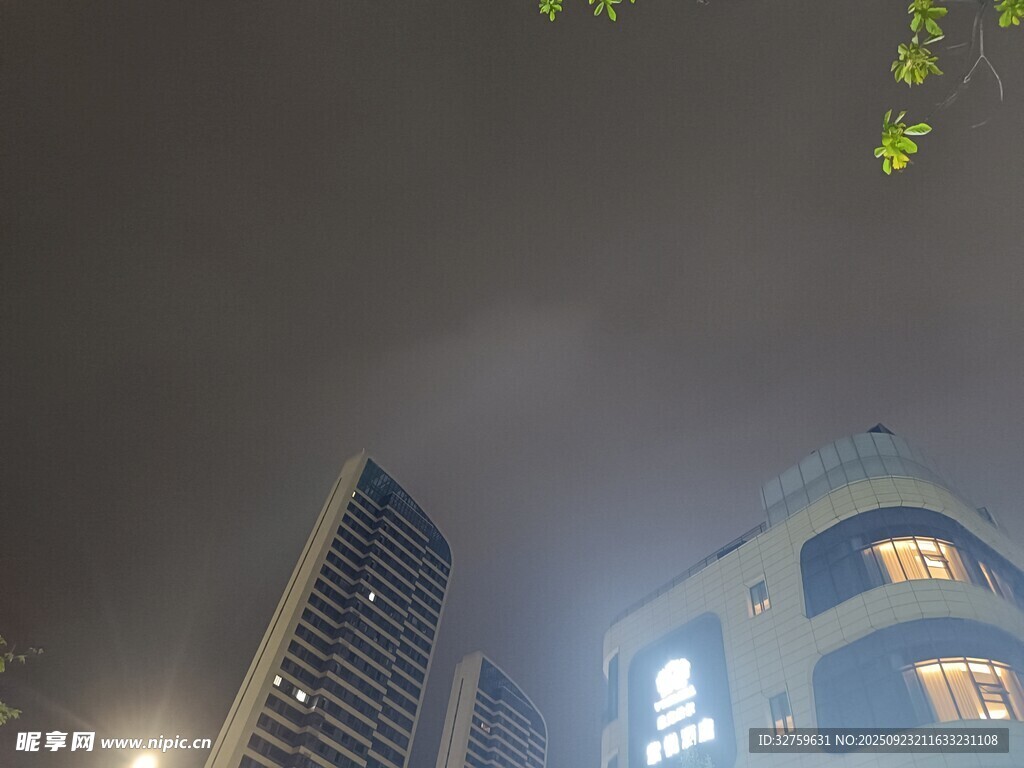 城市夜空下的高楼与绿植
