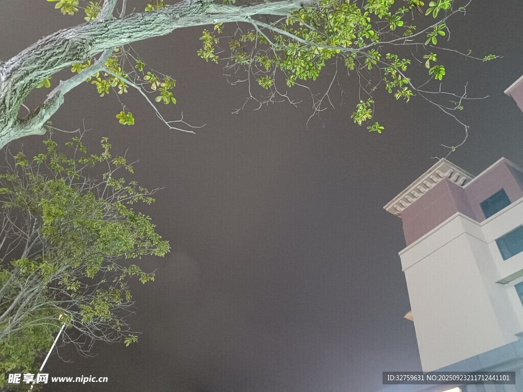 绿叶掩映下的建筑一角