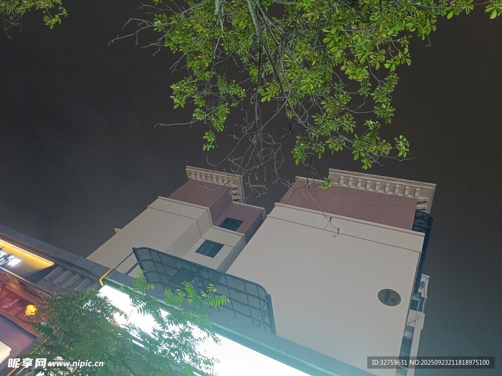 夜晚树下的户外休闲场景