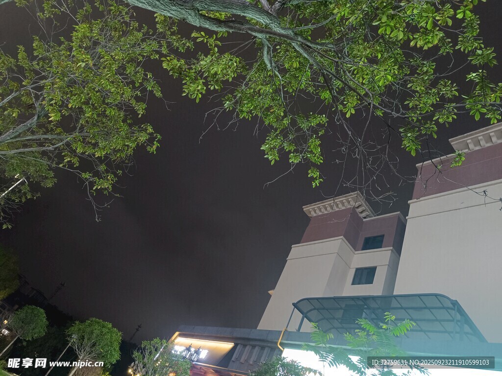 夜晚树下的建筑一角