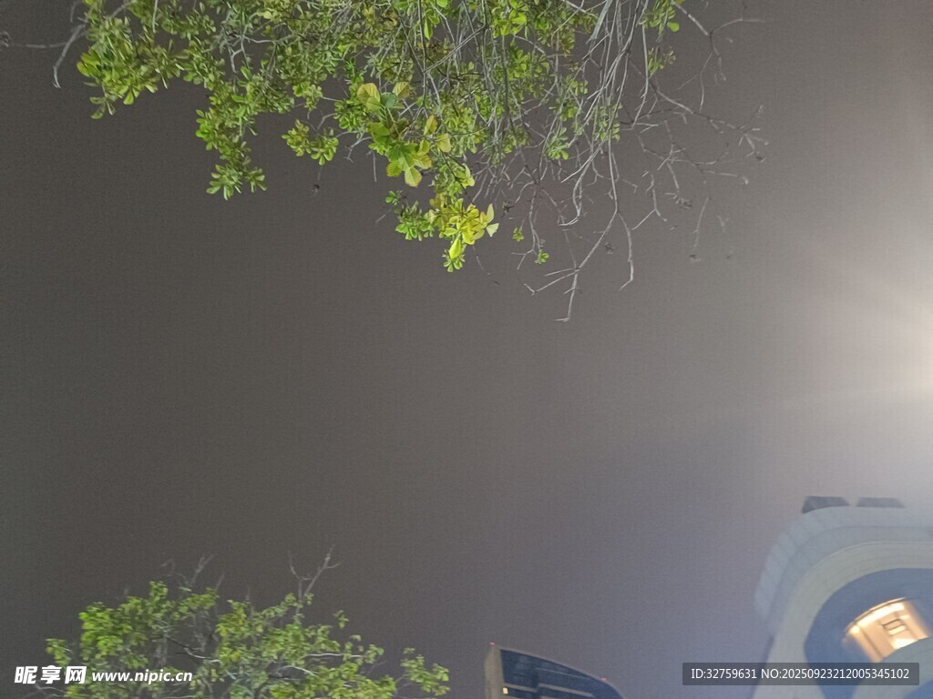 水面倒影绿植与物体