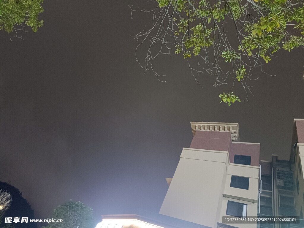 从高处俯瞰房屋与树木