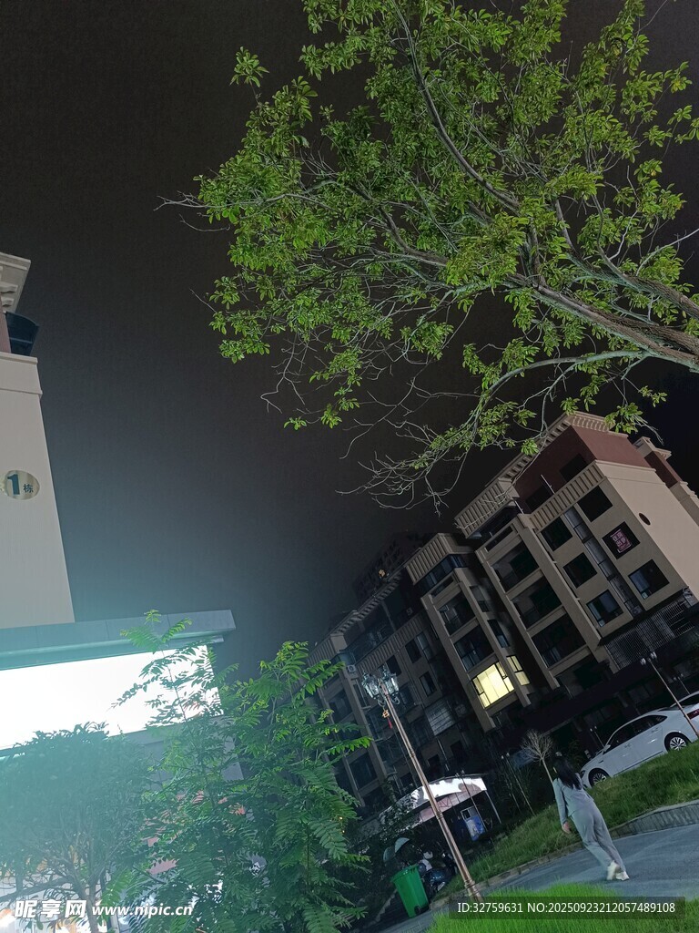 夜晚城市中的绿植与建筑
