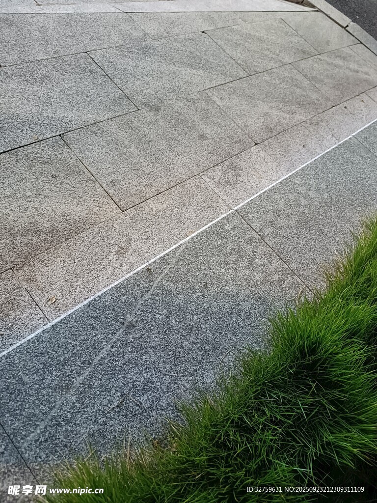 石板路面与翠绿小草