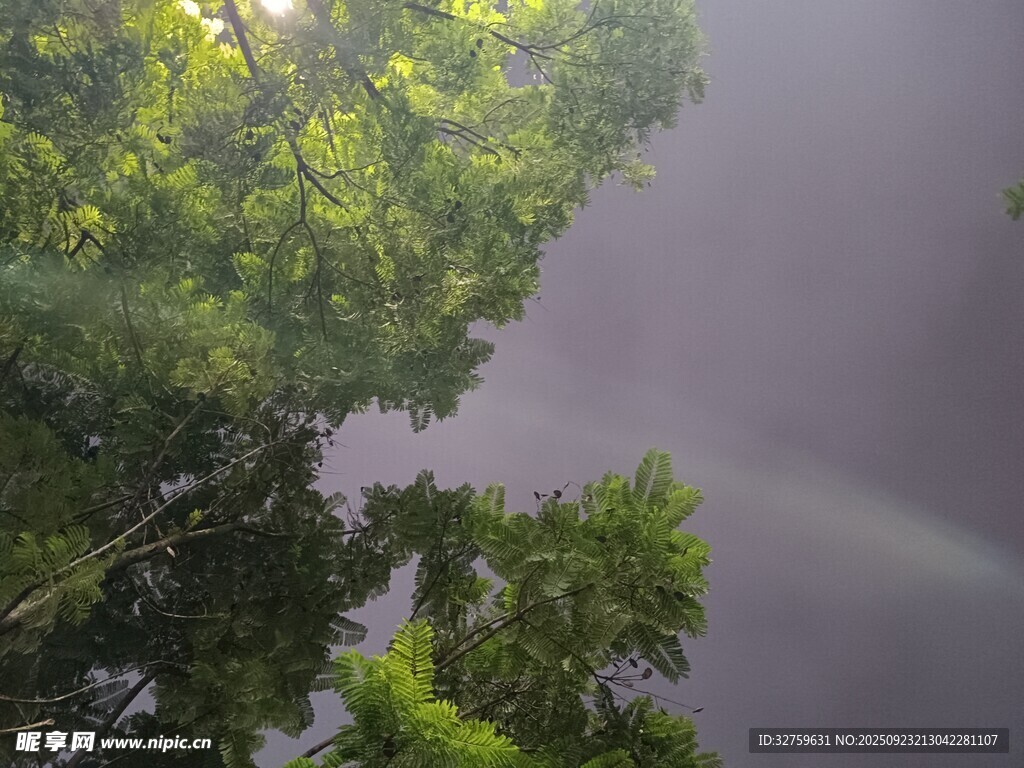 林间雨后天际现彩虹