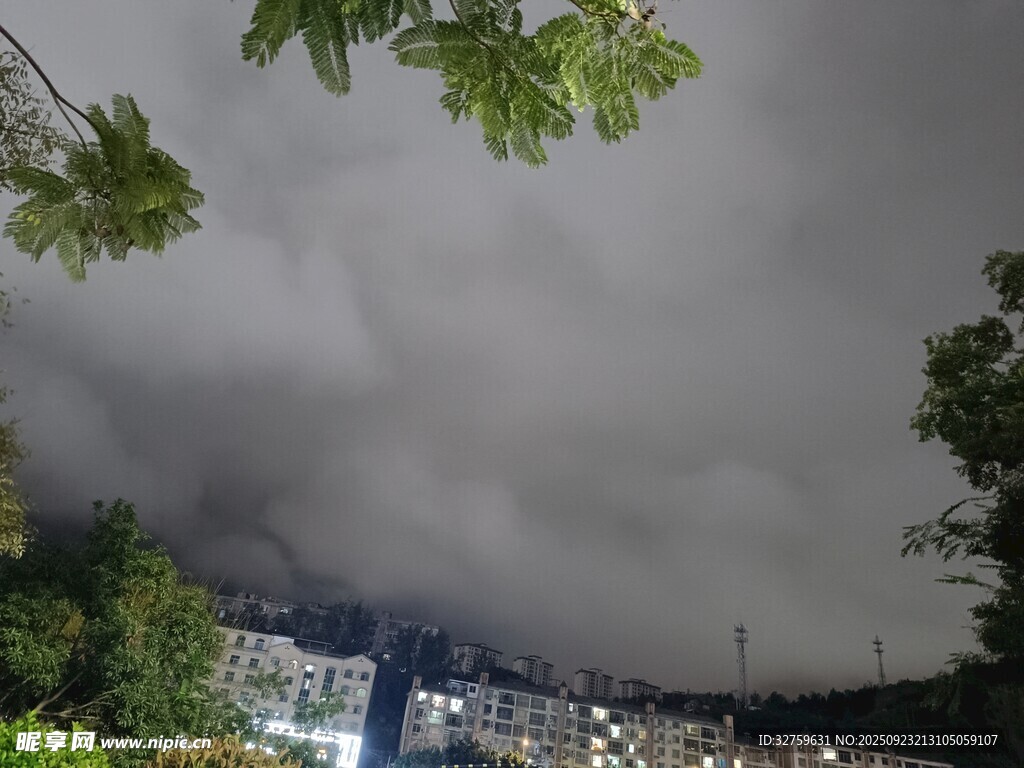 夜幕下的城市与繁茂绿树