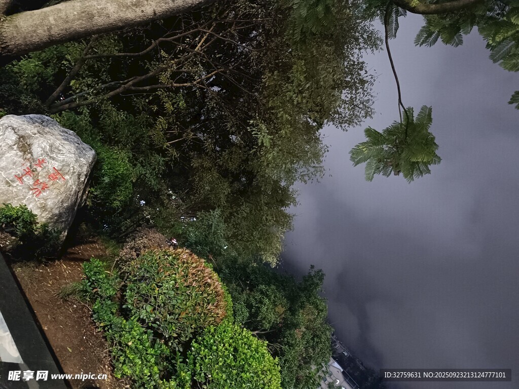 庭院水景绿植景观