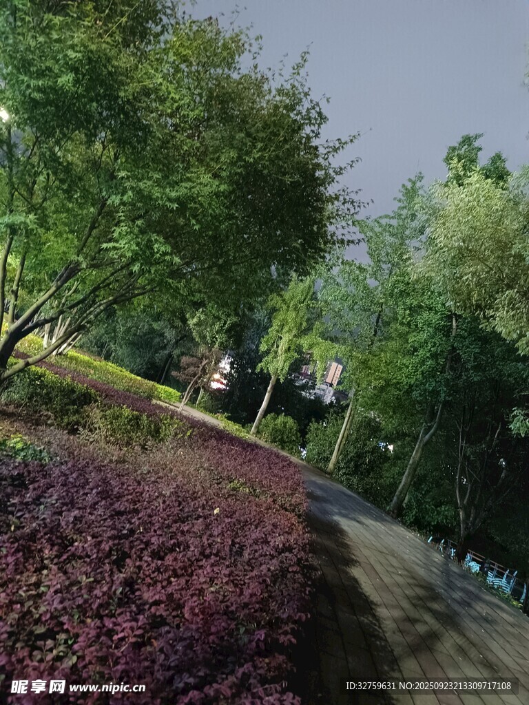 黄昏下的园林绿植景观