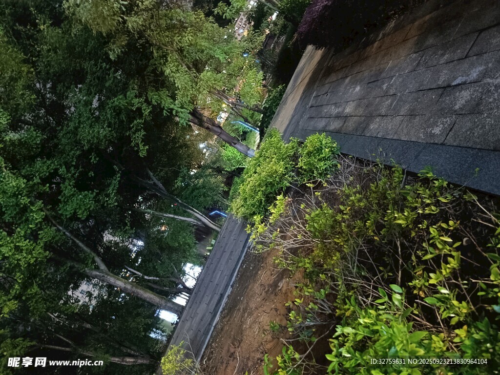 庭院绿植环绕的幽静小径
