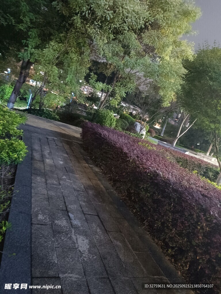 夜晚公园中的幽静石板小径