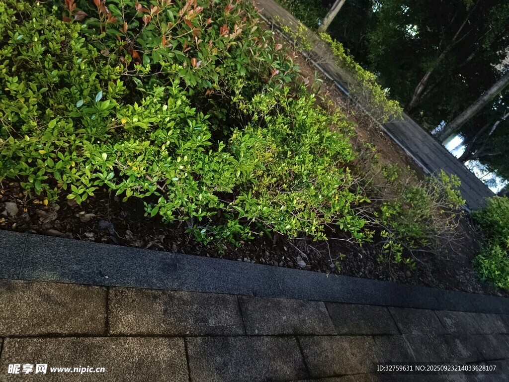 路边绿植与石砌斜坡景观