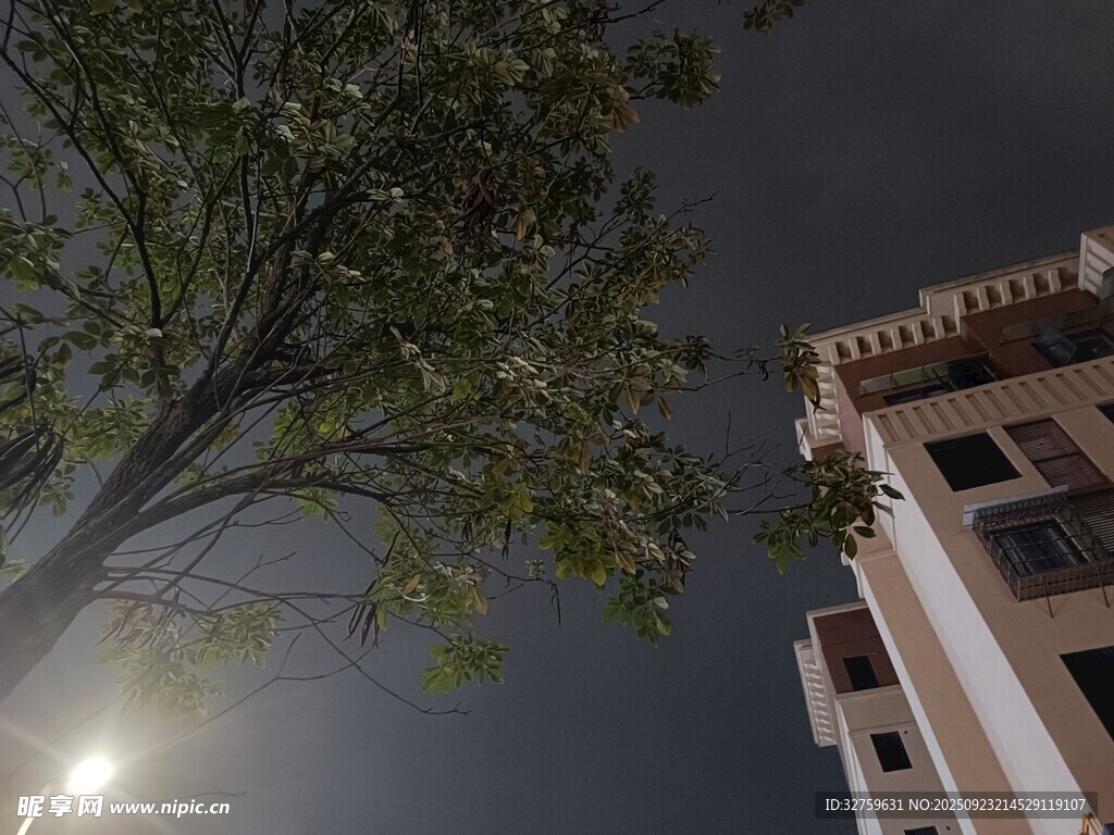 夜晚树旁的建筑一角