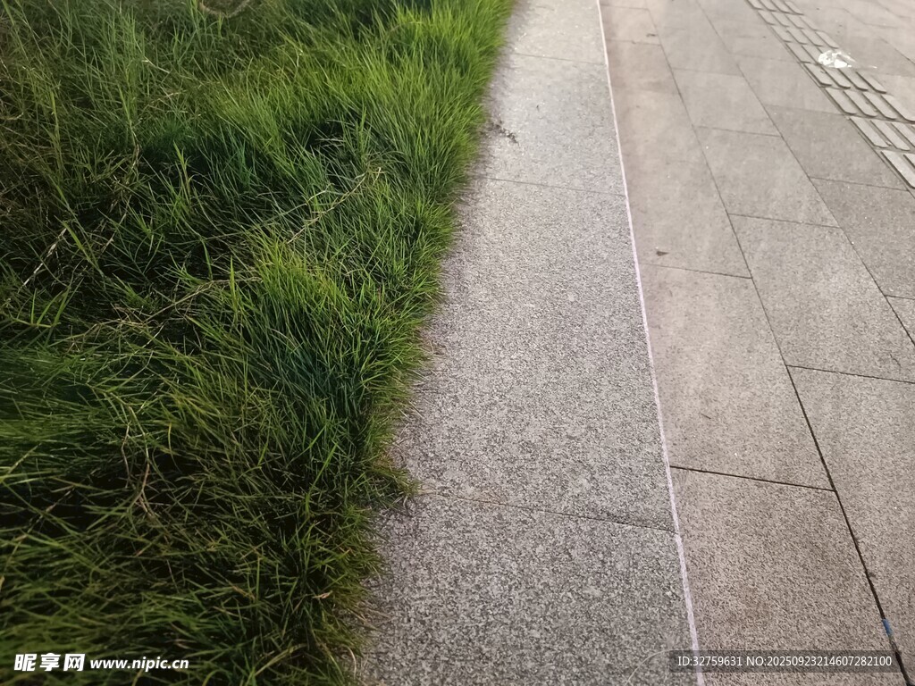 路边草地与石板路