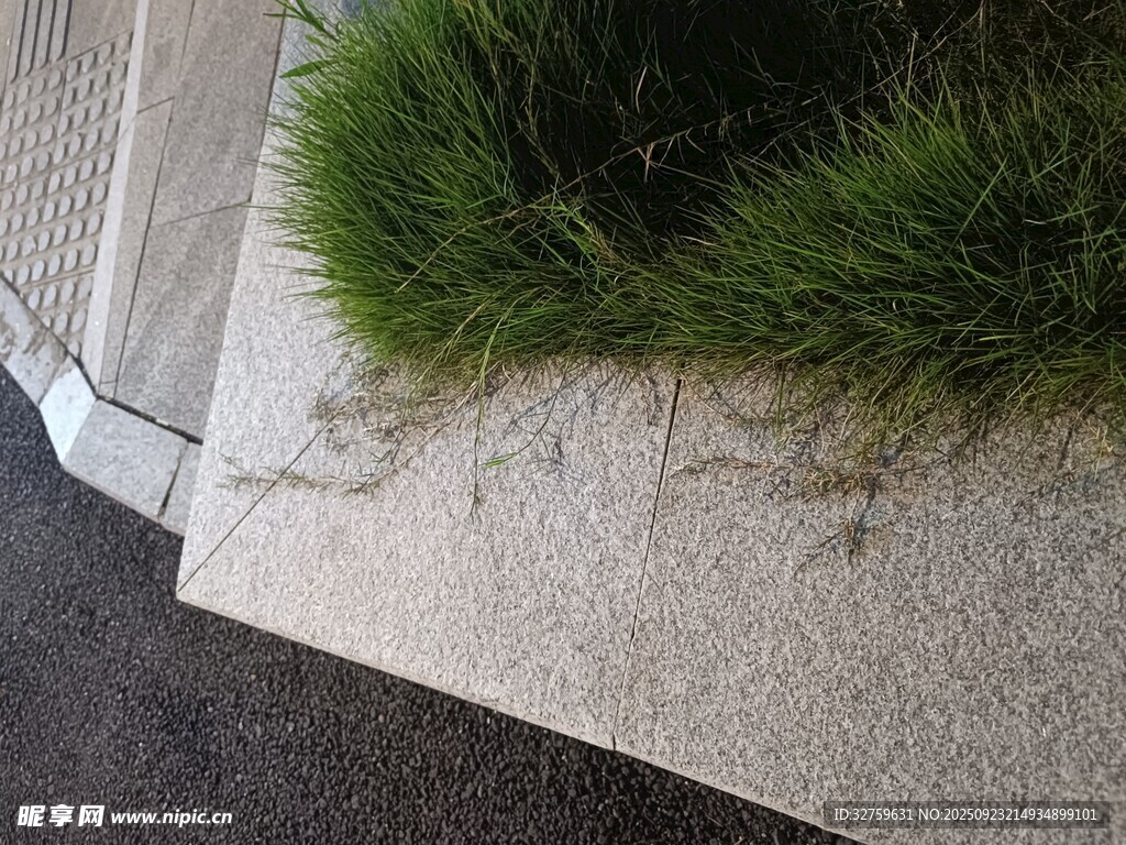 路边绿植与灰白路面景象