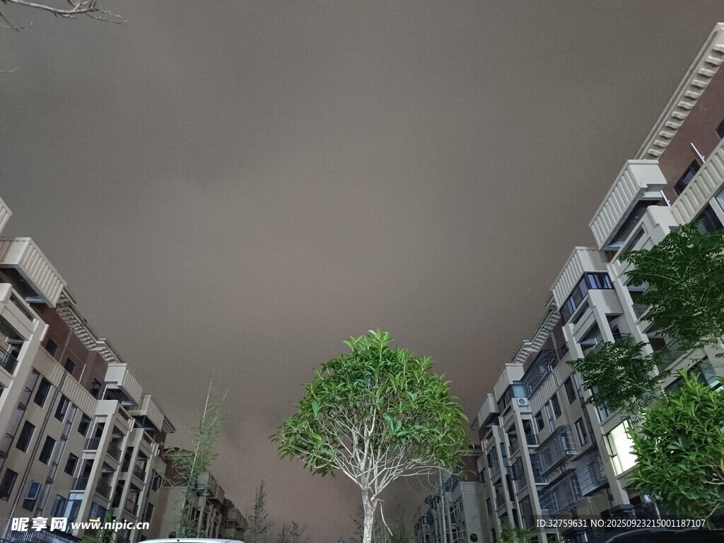 乌云下的城市街道与绿树