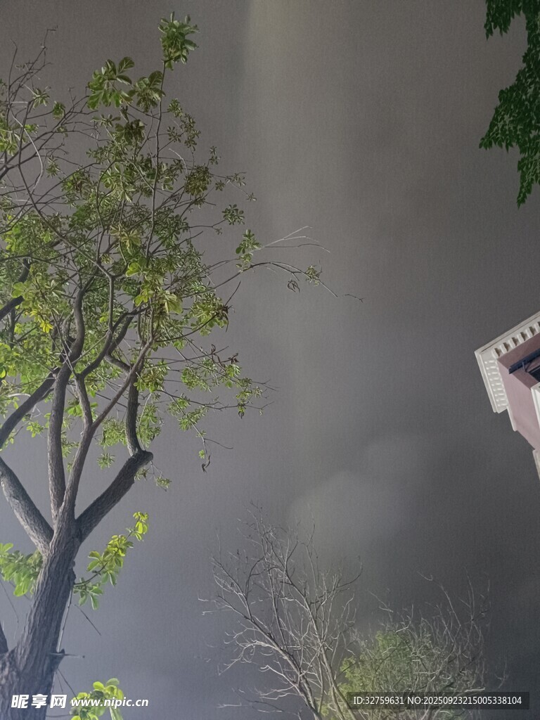 雾中树木与建筑一角