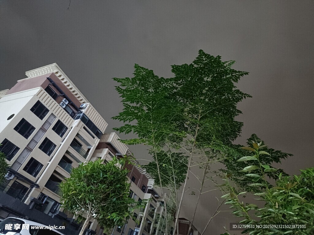 狂风中树木与建筑景象