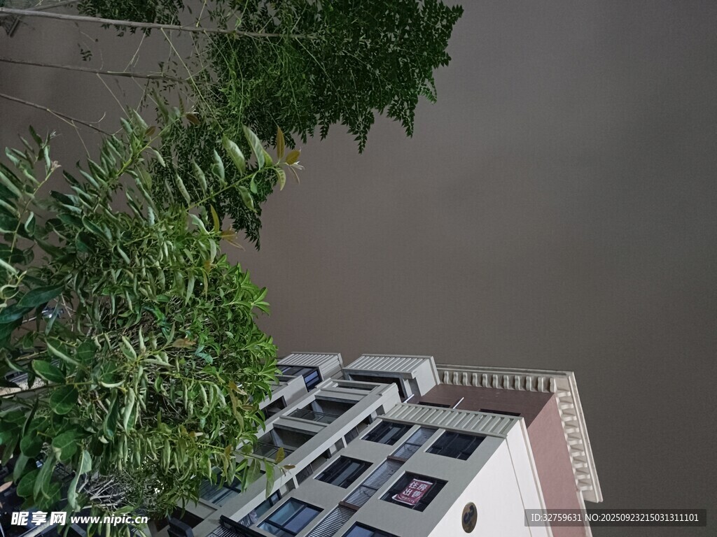 楼房旁绿树与阴沉天空