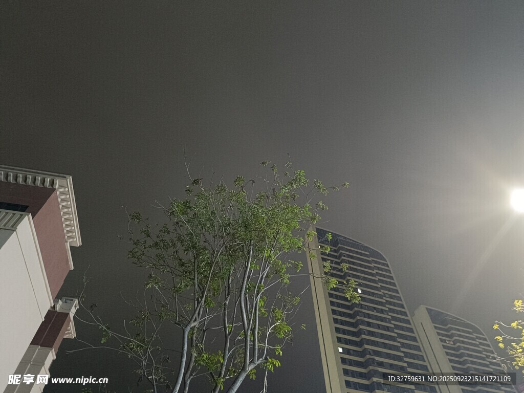 夜幕下的城市建筑与绿植