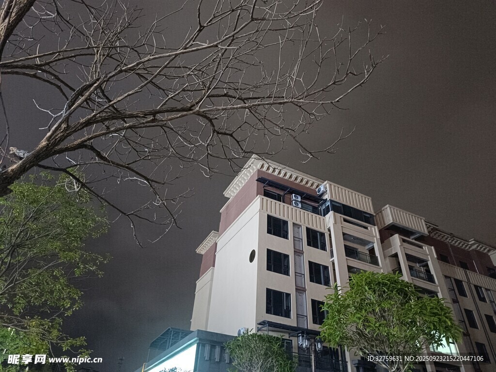 夜晚中的建筑与树木景观