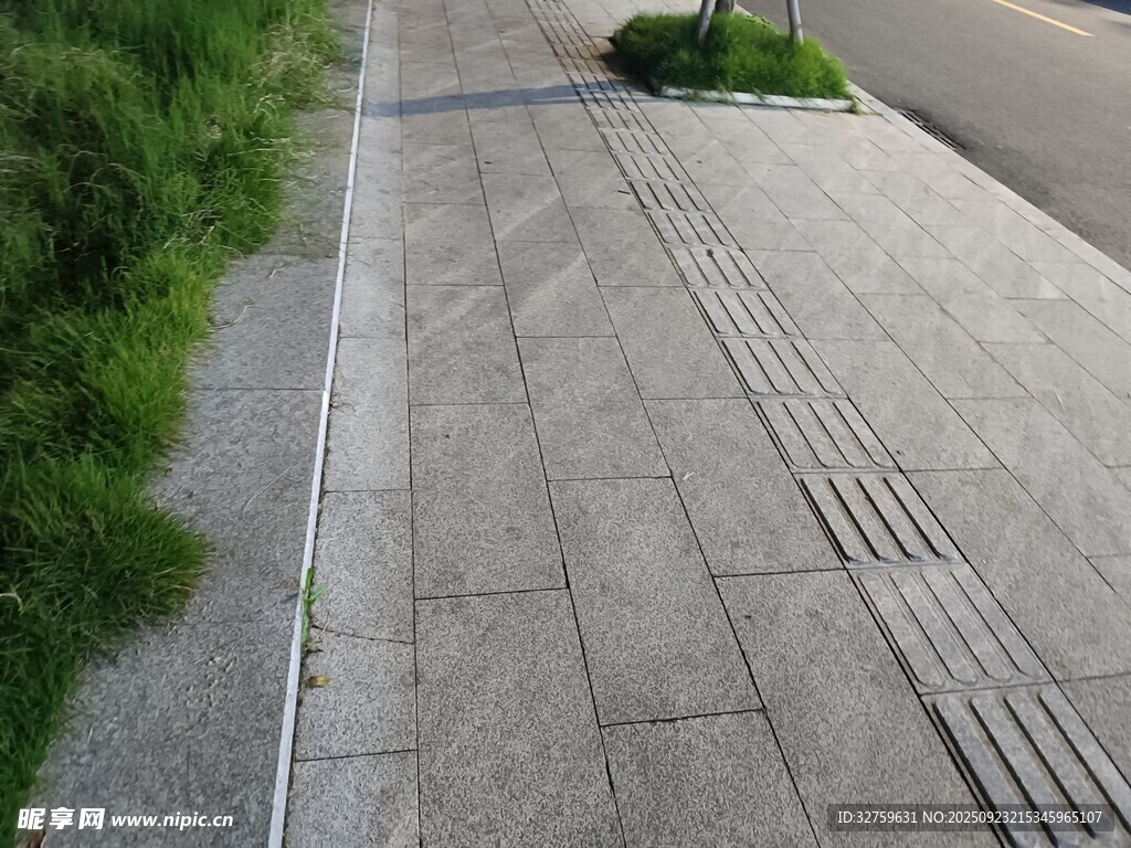 城市人行道旁的绿植景观