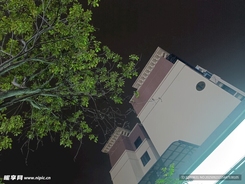 夜晚树下的建筑物一角