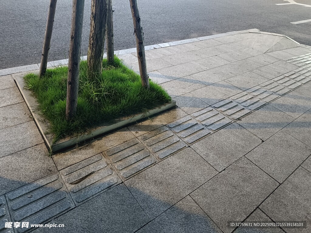 街边方形树池与绿化