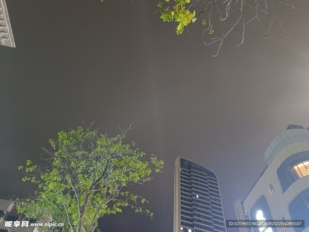 仰视城市中的绿植与建筑