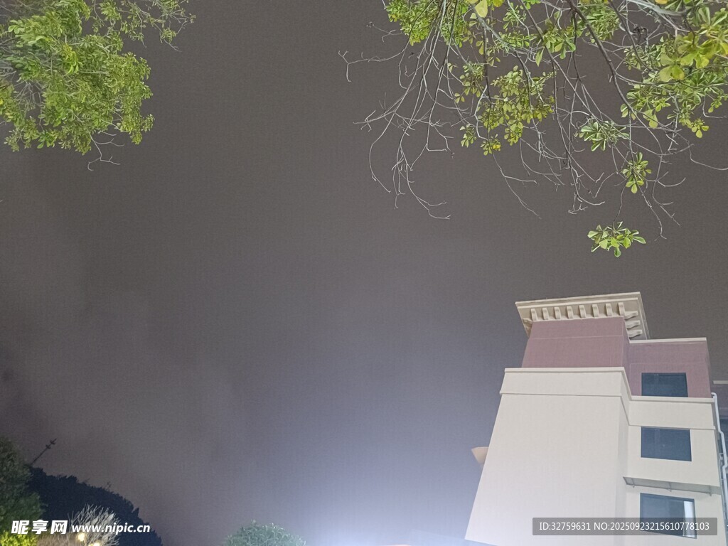夜晚仰视建筑与枝叶