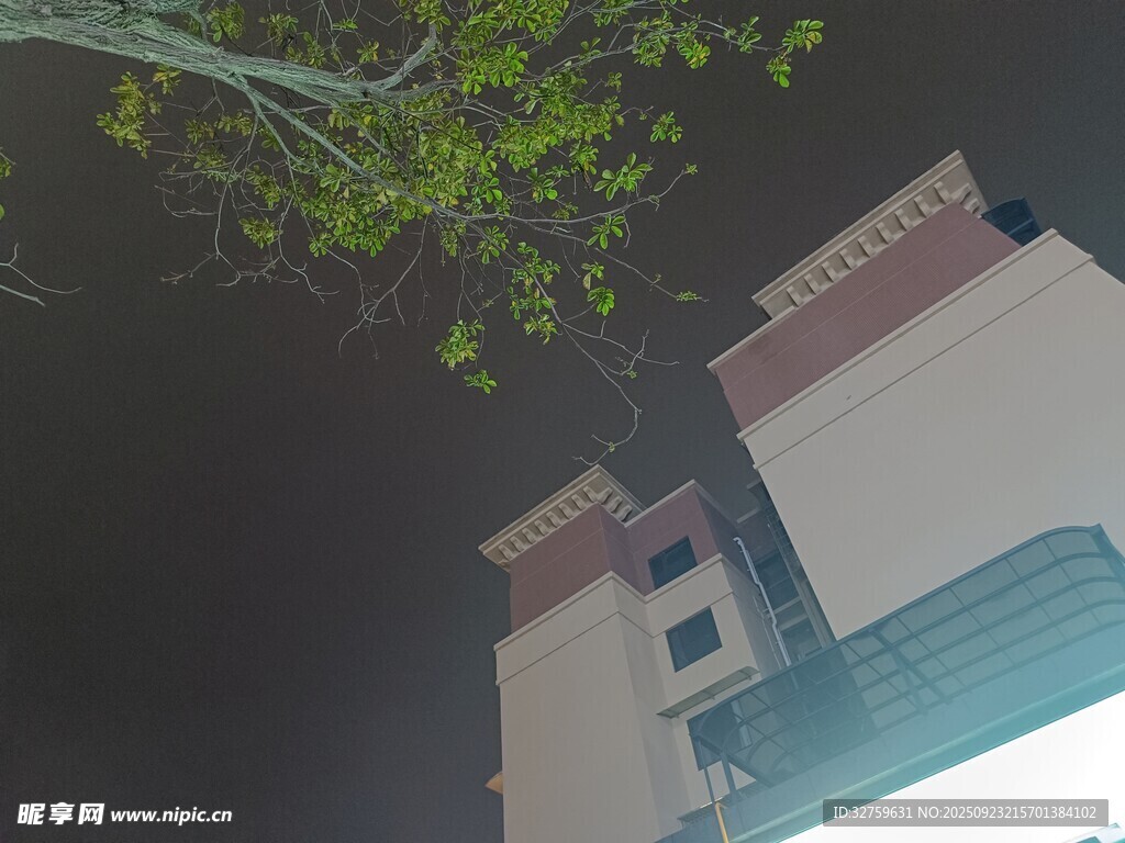 夜晚绿植旁的高楼建筑